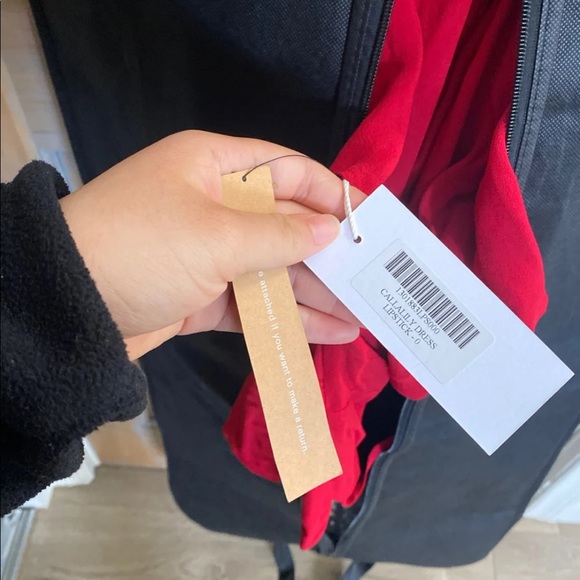 Callalily Dress- Reformation - Picture 5 of 6